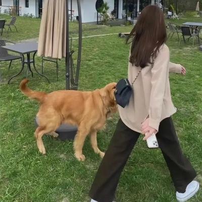下流人生